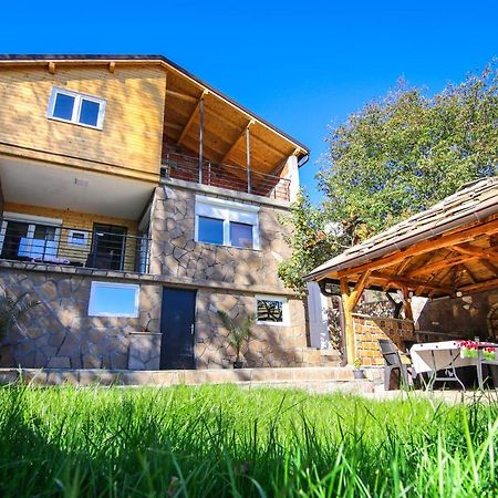 Vila Nemir Zavojsko Jezero Pirot Kültér fotó