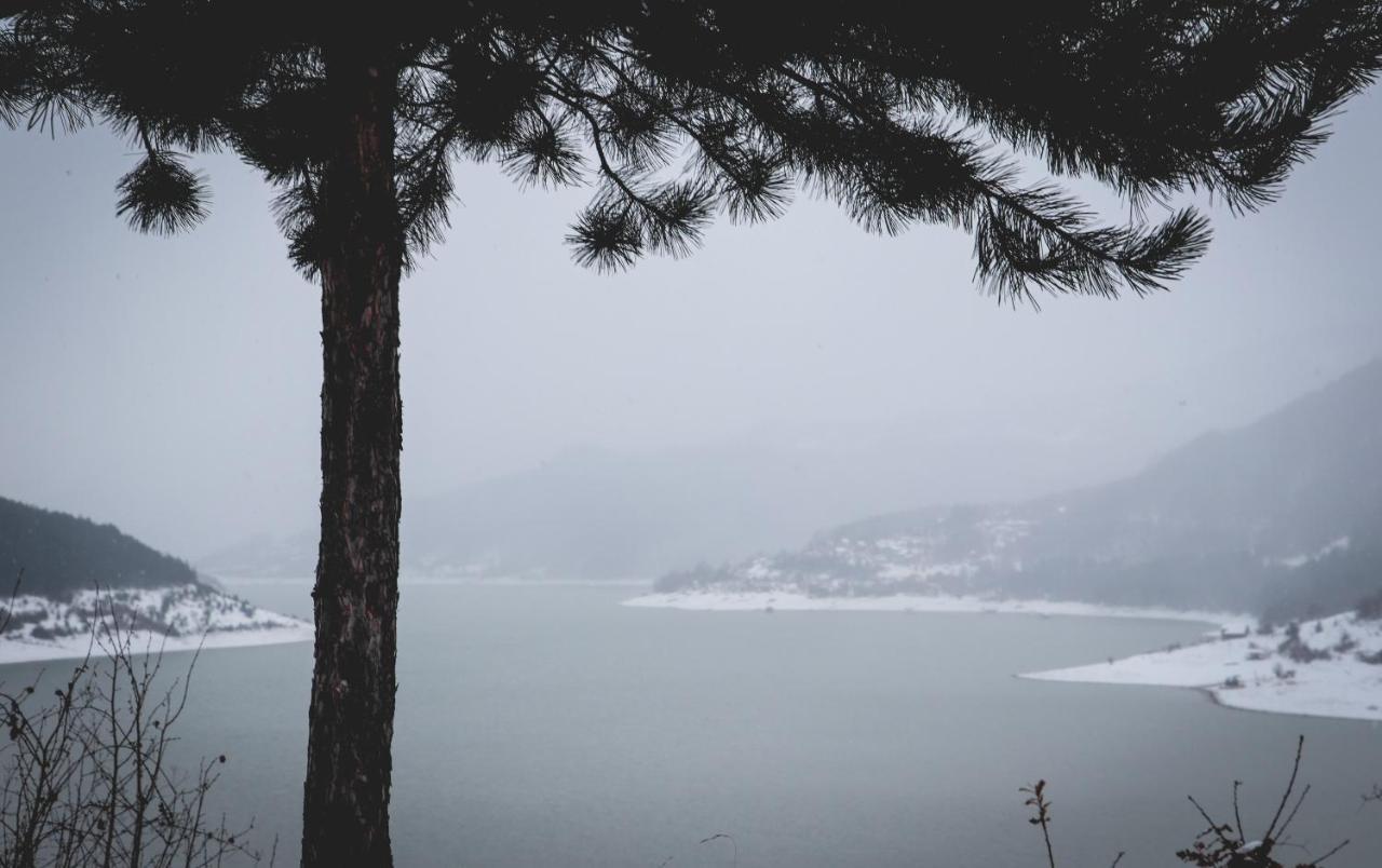 Vila Nemir Zavojsko Jezero Pirot Kültér fotó
